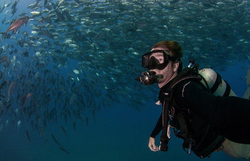 海滩度假胜地逃脱